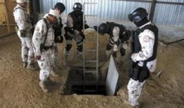 美国毒品爆料视频大全,视频大全背后的惊人真相